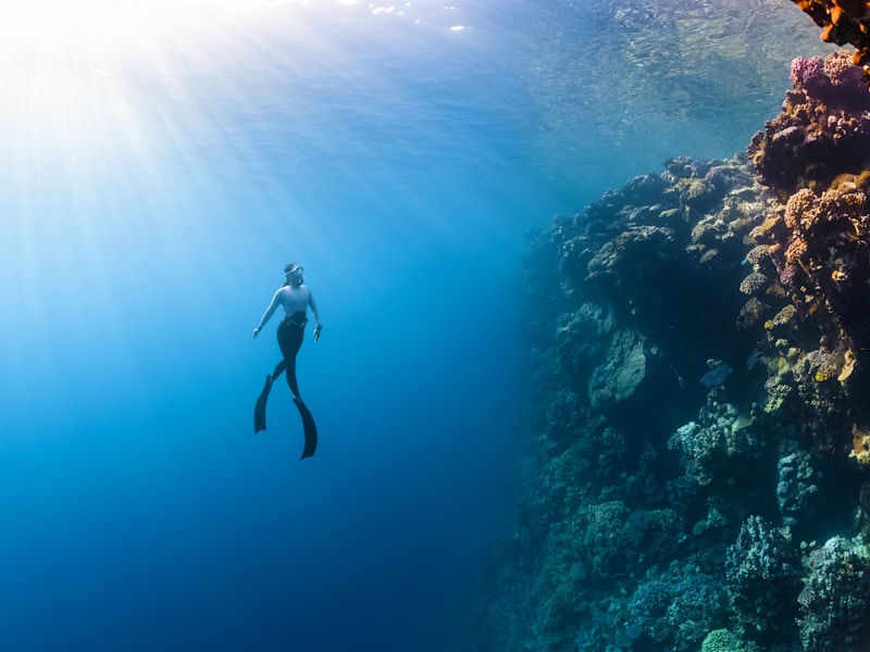 Snorkeling Adventure