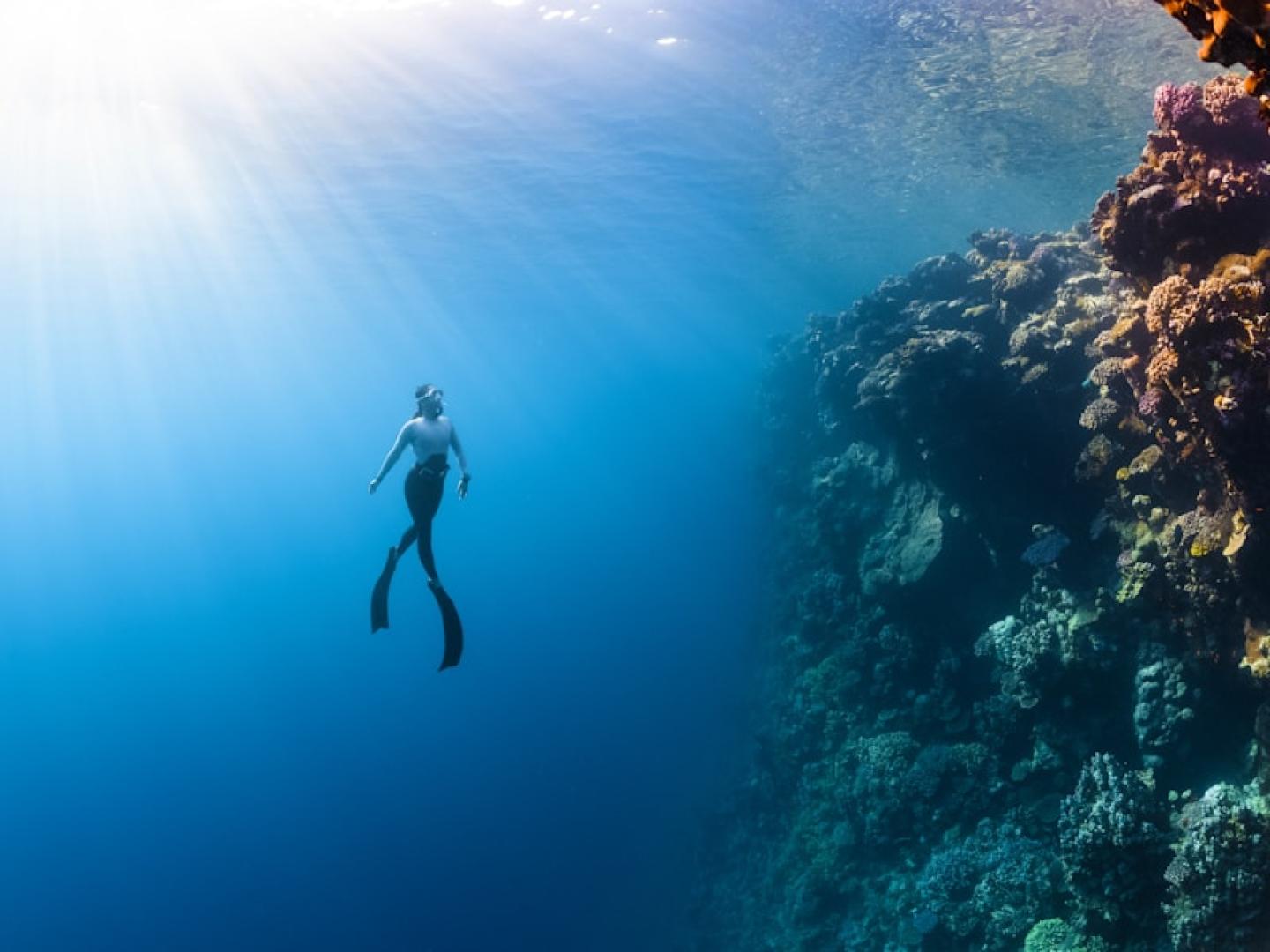 Snorkeling Adventure
